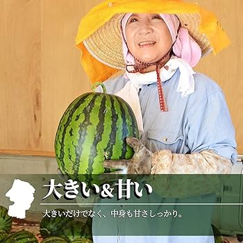Amazon.co.jp: 超大玉 6L以上 山形県産 尾花沢すいか （西瓜